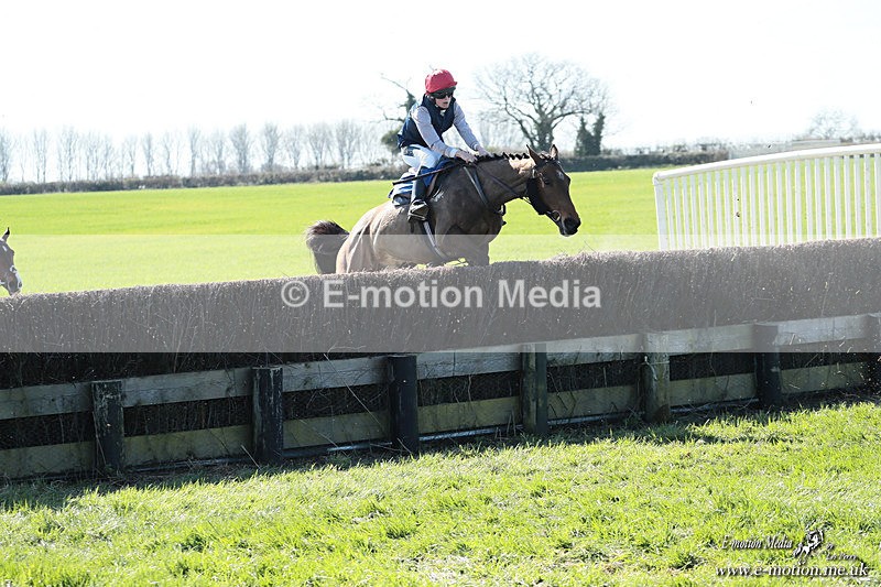 PtP 210326 116 - VWH Cirencester Races 21/03/26
