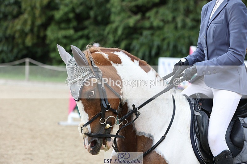 230618-180040-14043 - Cls 22 Hoys 138cm 2nd round 1st rnd