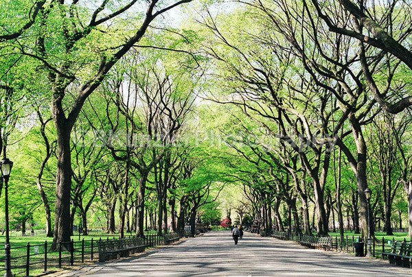  - Central Park