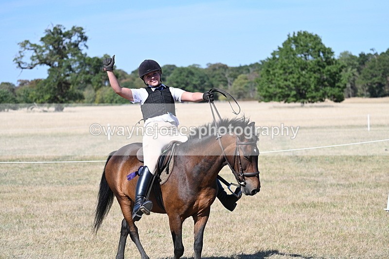 WJ7_1760 - Class 42 Most Handsome Gelding