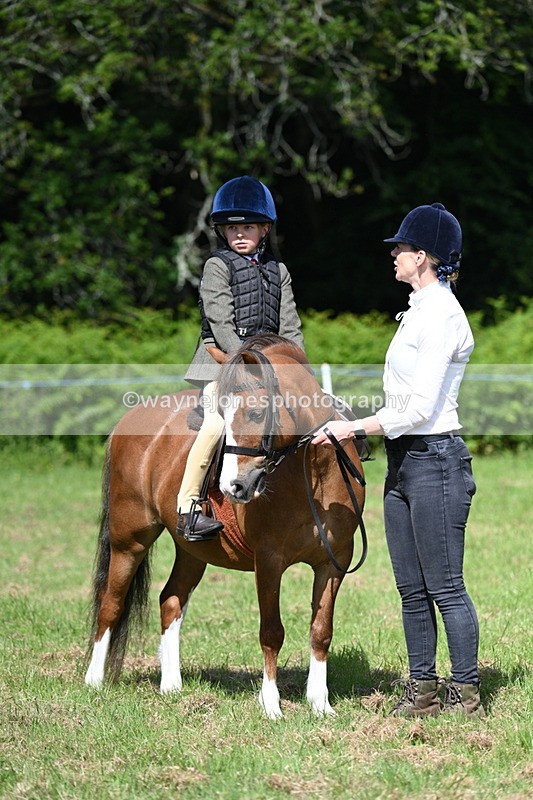 WJ7_0782 - Class 8 First Rally Pony