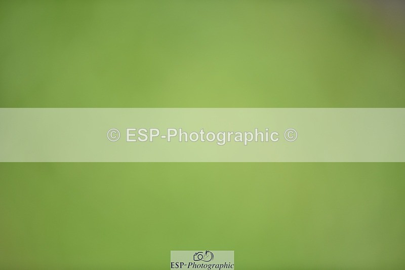 240605-131838-00403 - Cls 5 Elementary 43