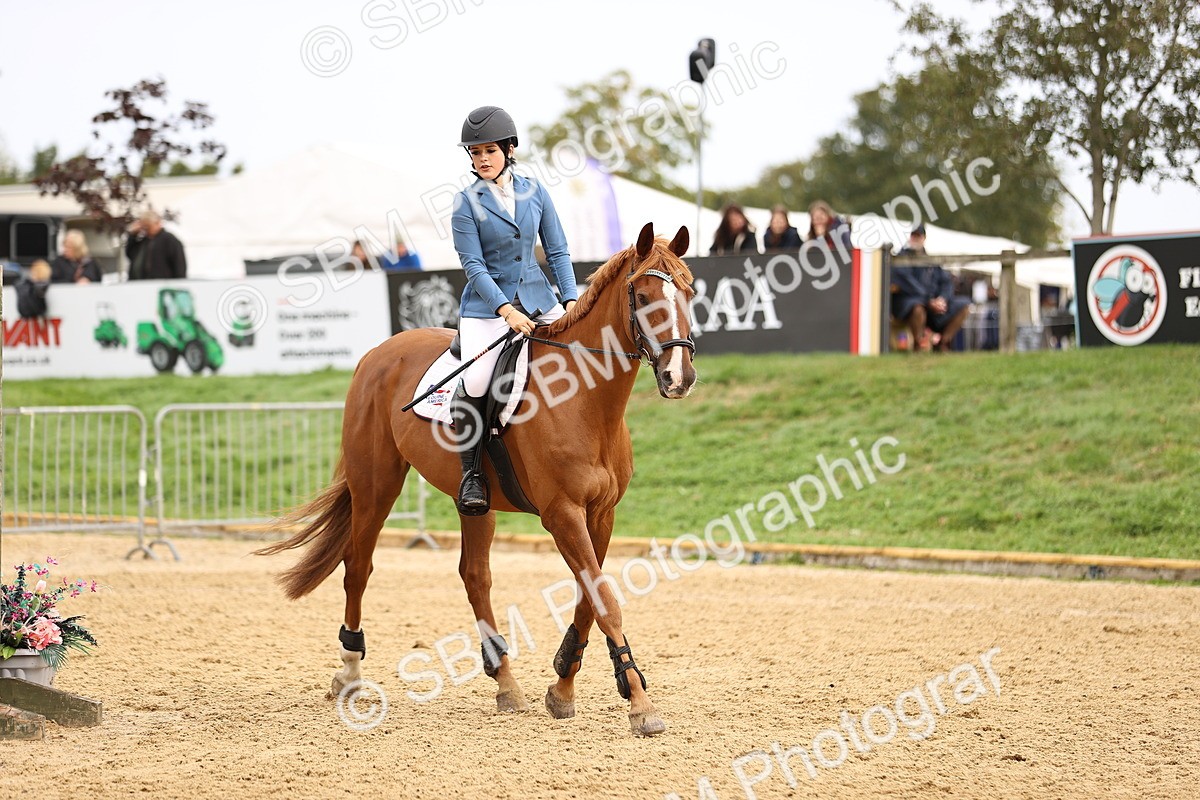 SBM_58515 - J41 - Grand Tour Horse & Pony 95cm