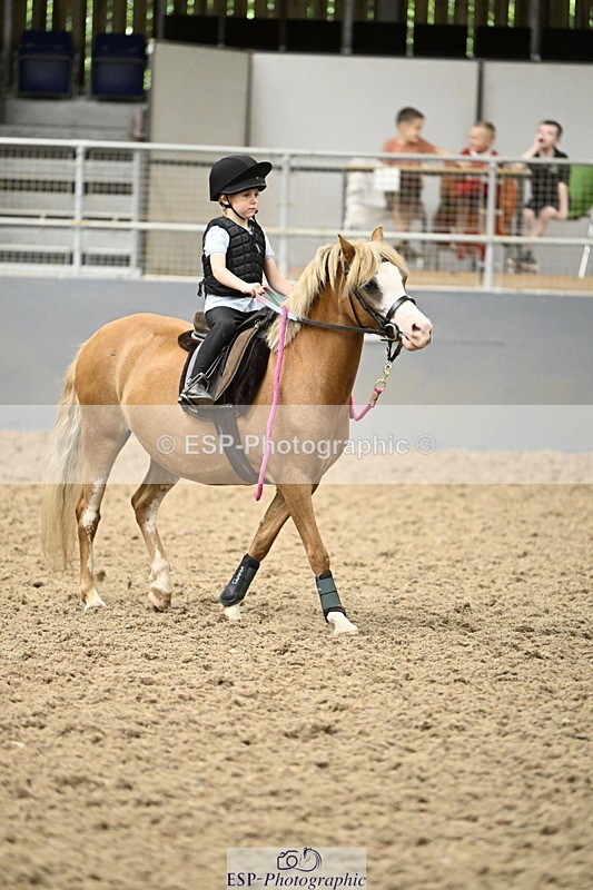 240728B-142554-00529 - Theo and Gemma's Groups Indoor