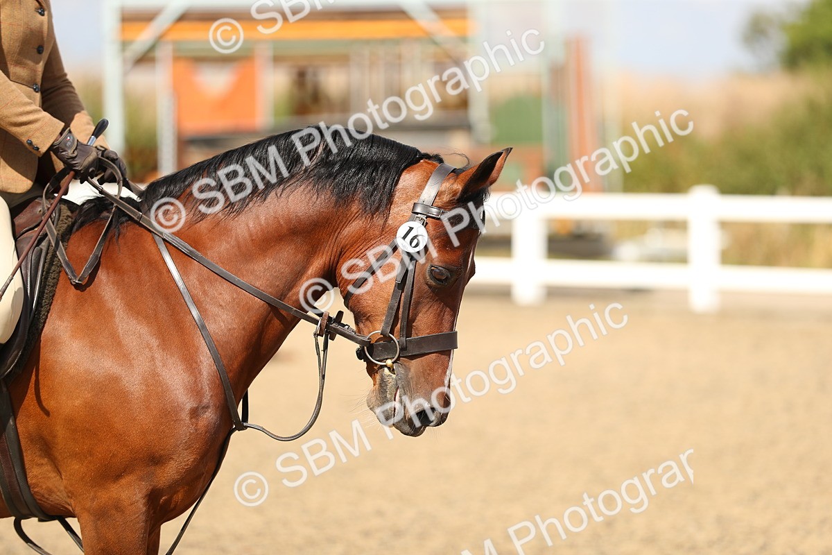 SBM_04209 - Class 46a Style & Performance 50cm (15-19)