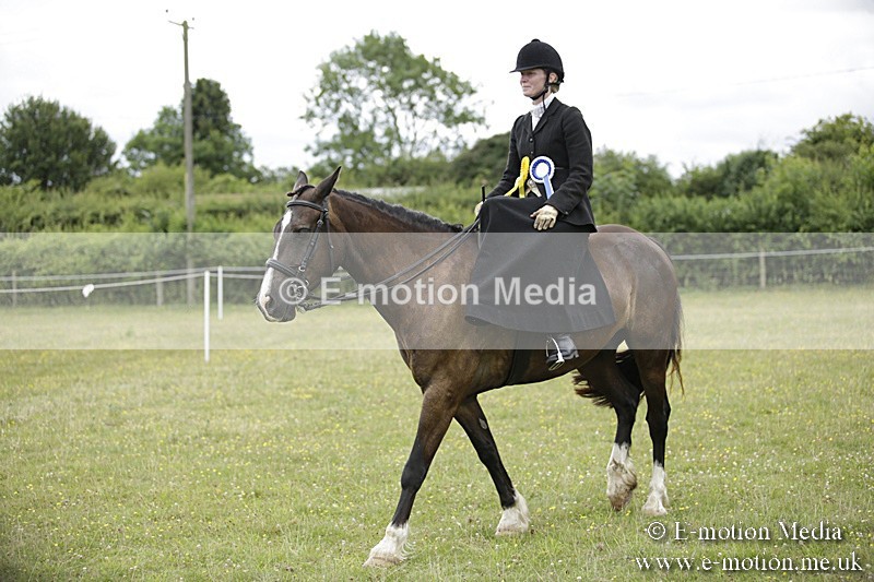 BVR160717-2019 - Side Saddle Classes 16/07/17