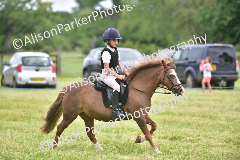 20260614-2685 - Class 13 - Pony Club Pony