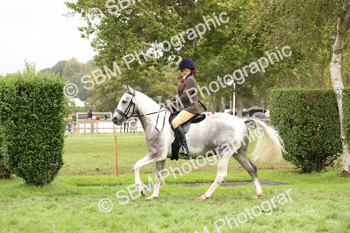 SBM_69891 - S68 - Other Coloured Horse Ridden
