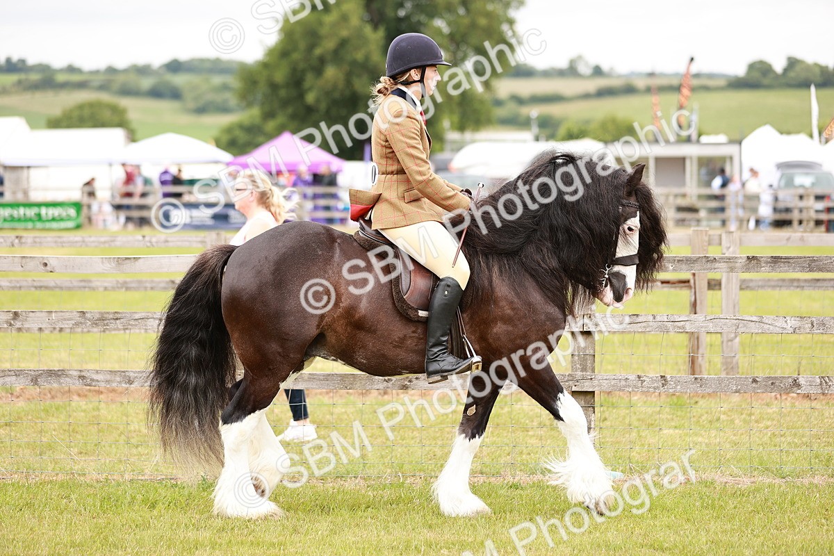 SBM_06085 - Class 39-41 TGCA In Hand and Ridden