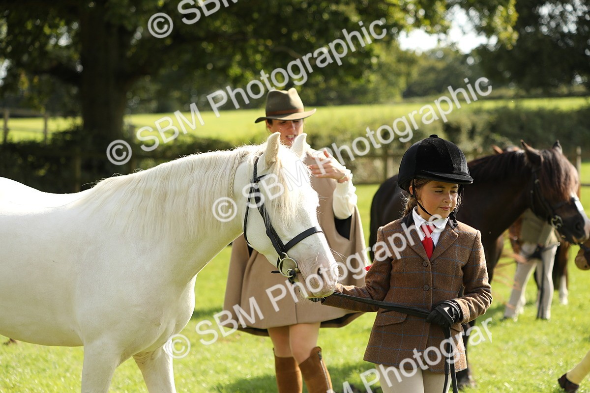 SBM_67807 - S39 - Junior Handler 8  Years & Under
