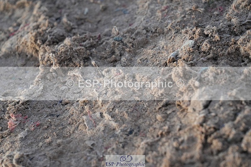 251130-145522-02365 - Cls 32+33 Springboard and Winter's