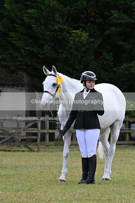 WJ7_7205 - Class 5a Most Handsome Gelding in Hand