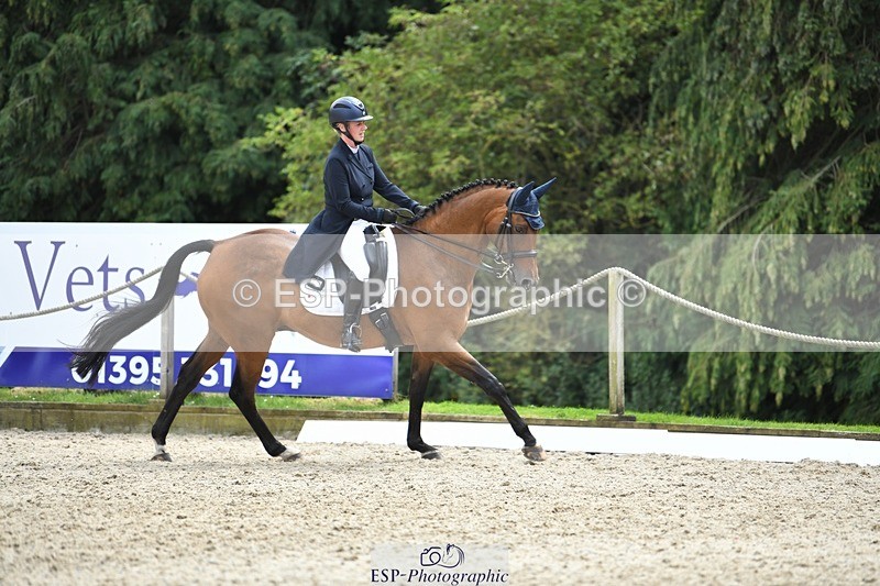 230812-135440-04544 - Cls 7 FEI PSG Bronze