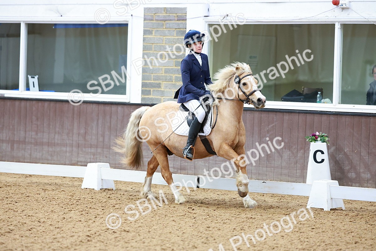 SBM_000579 - Class 4 - CT Prelim 3-70cm