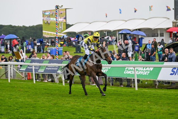 150624-F-Macmillan Ride Of Their Lives-6260 - 12.30pm Macmillan Ride of Their Lives