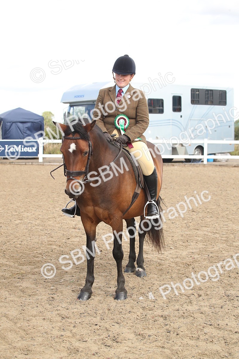 SBM_14592 - Class 505a - M&M Working Veteran - 50cm (15-19)