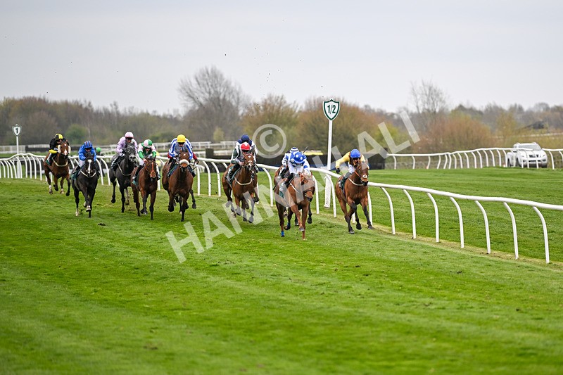 090425-Race 7-Mister Sox-0279 - Race 7