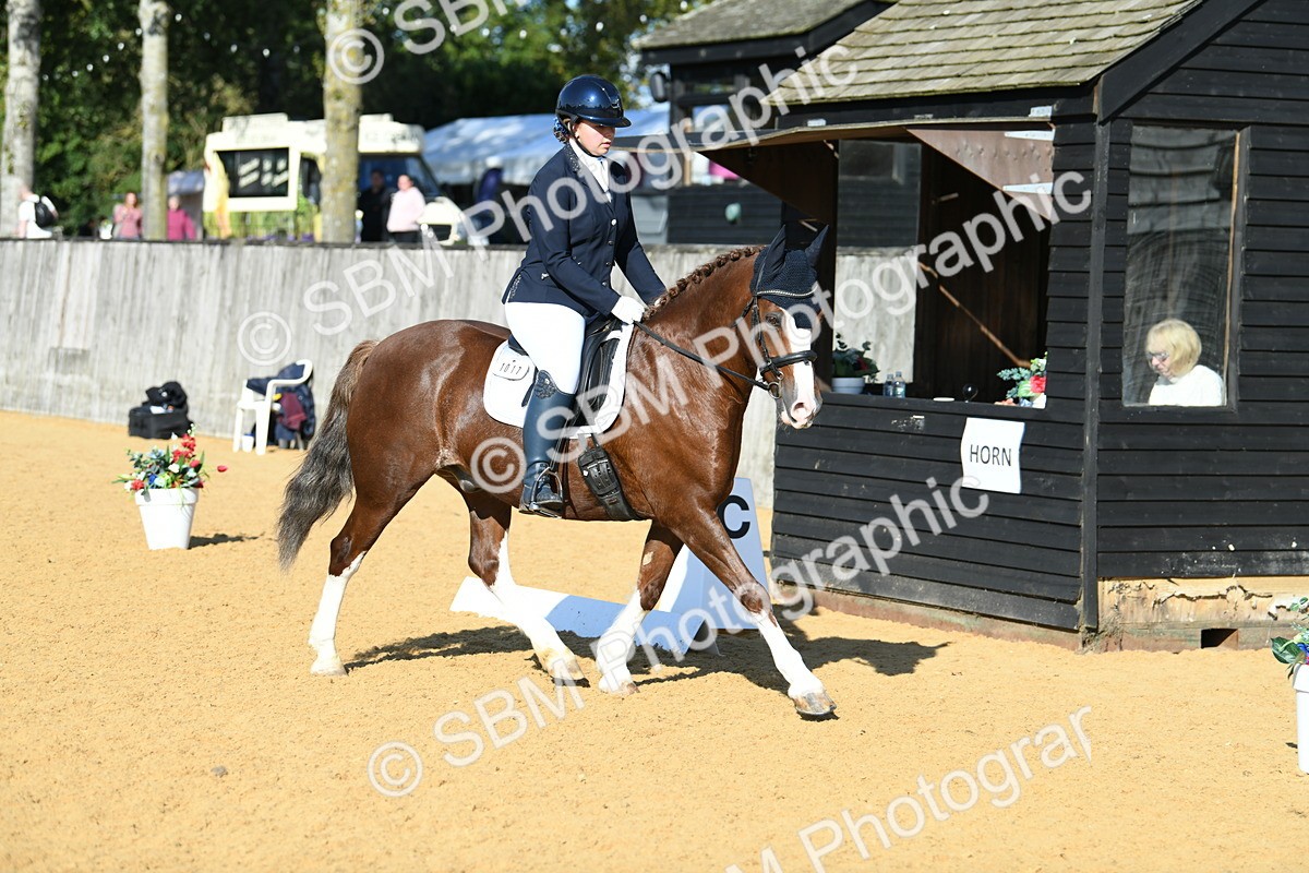 SBM_27221 - D16 - Small Tour Championship - Novice 28