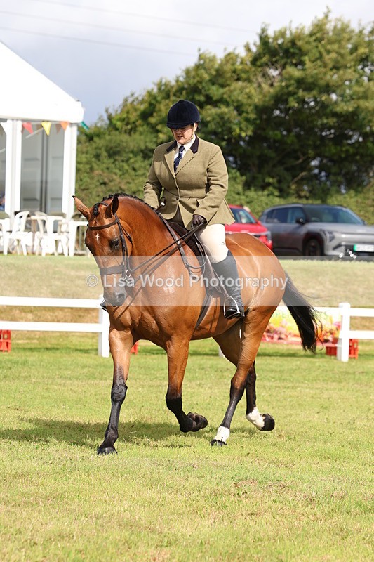 3E7A9425 - Class 4: Rising Star M/H Hunter