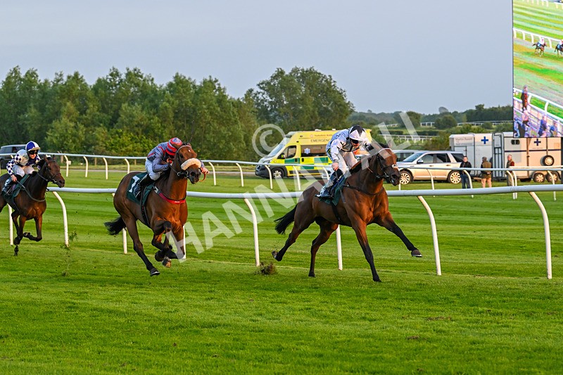 310524-Race 5-Dusk Dame-8929 - Race 5