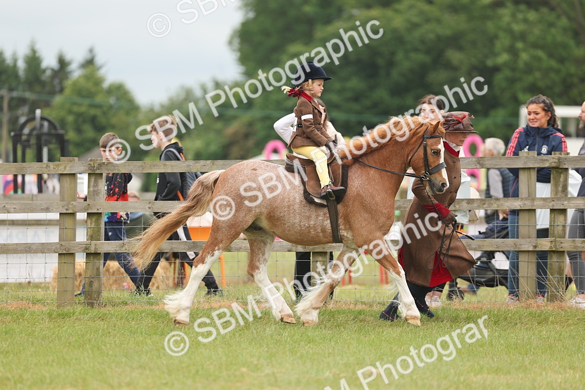 SBM_06727 - Class 74-75 - M&M Lead Rein and First Ridden Pony