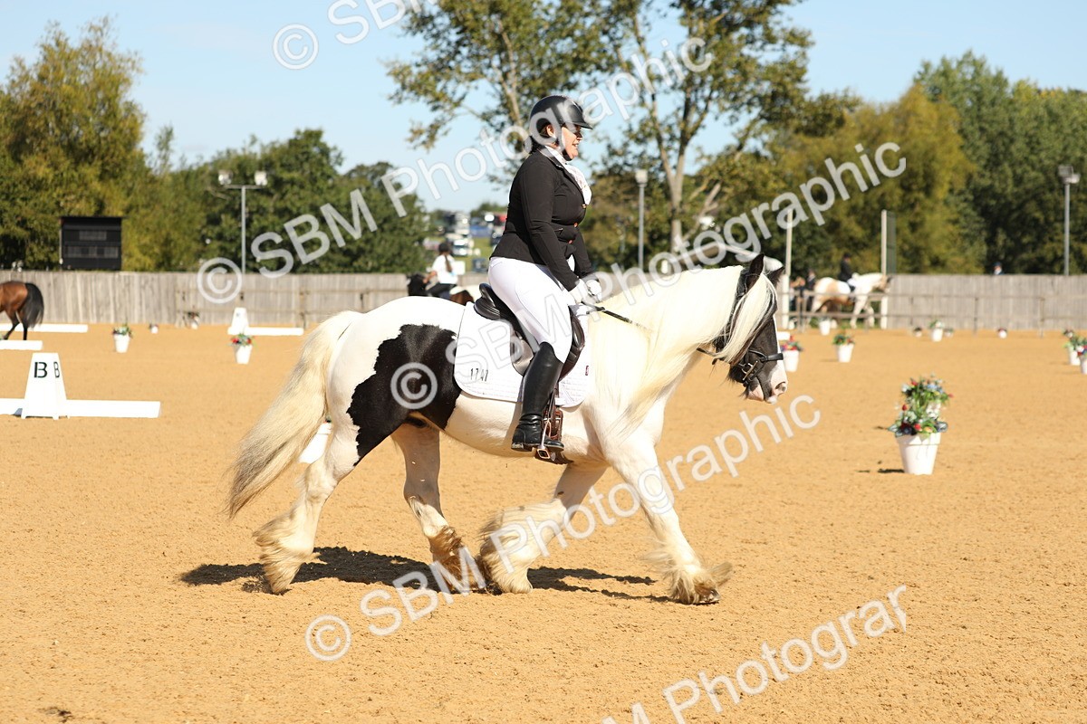 SBM_19627 - D10 - Small Tour Championship - Prelim 2