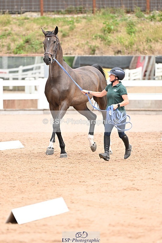 250716-143929-01263 - Trot Up 2.30 to 3.30