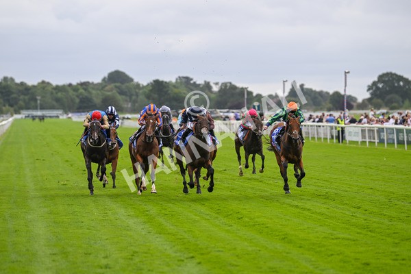 220824-Race 1-Celandine-6563 - Race 1 1.50pm Sky Bet Lowther Stakes