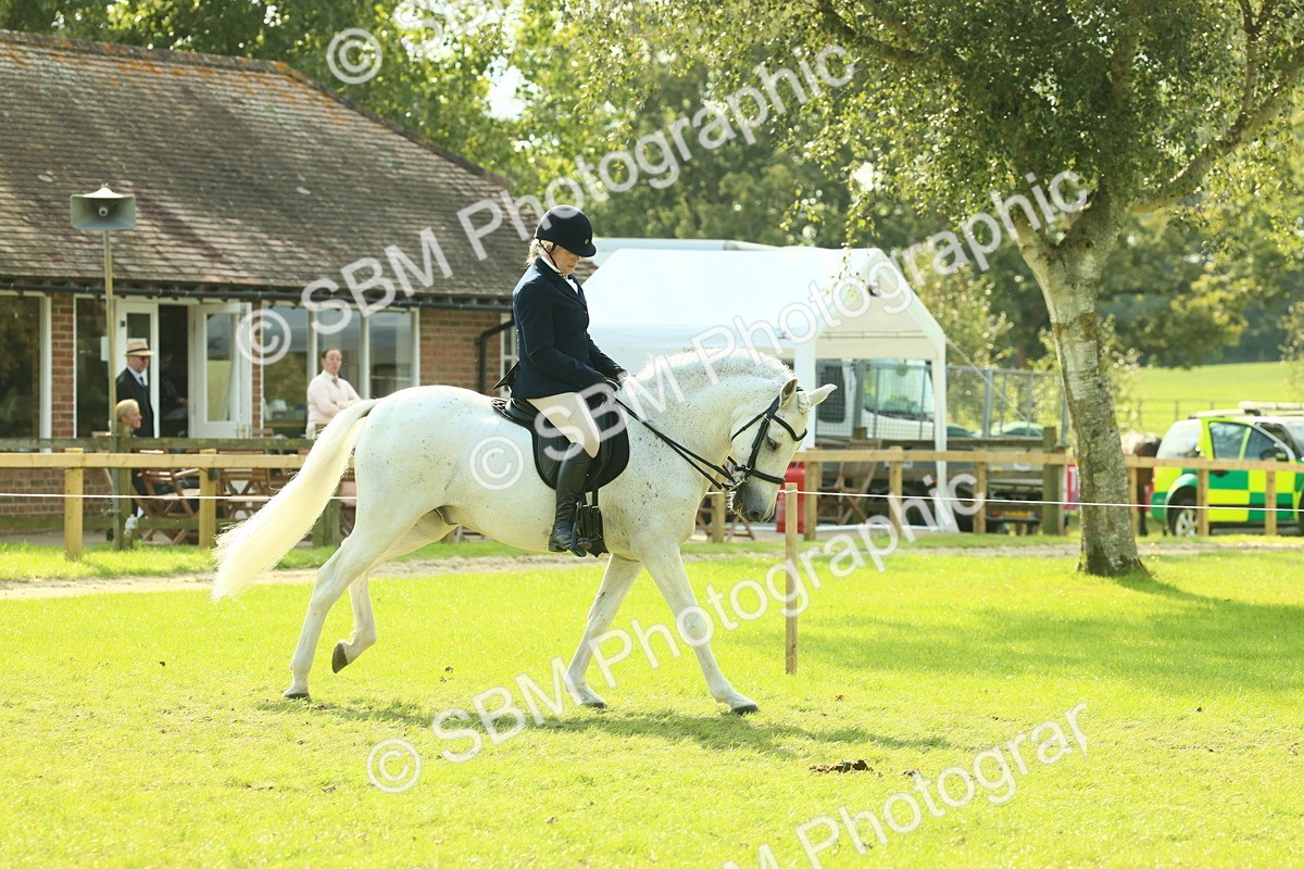 SBM_62397 - S62 - Foreign Breeds Ridden