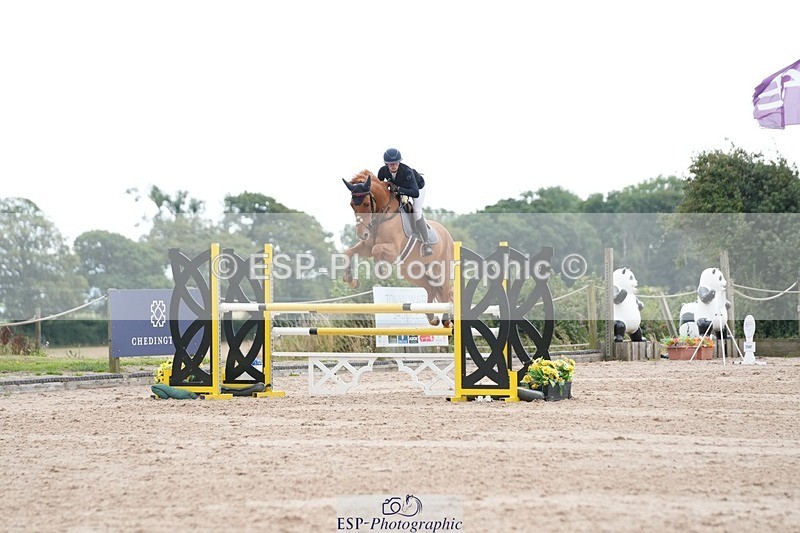 250803-124713-13164 - Cls 27 Chard Equestrian 5 Year Old Championship