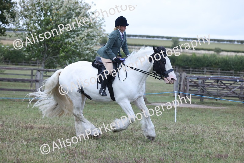 20250831-4372 - Class 20 - Ridden Coloured