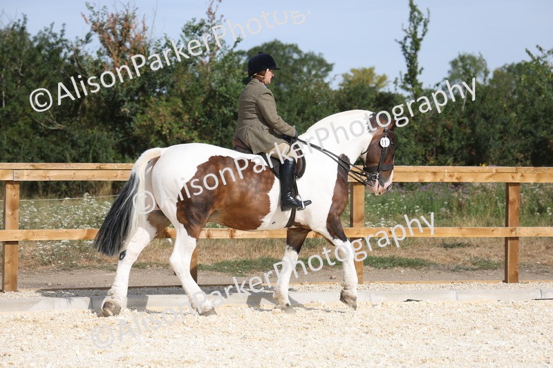 20260802-0389 - Class 6 - Veteran Ridden