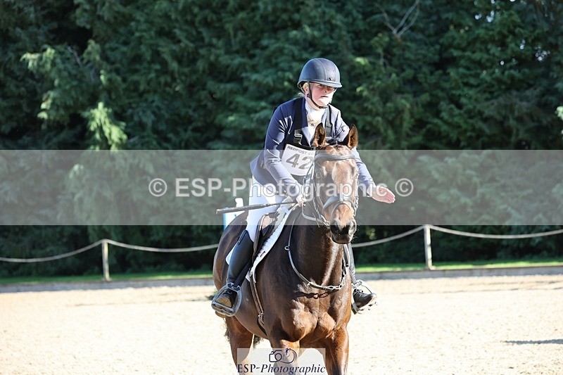 241027-113146-16835 - 420-Pip.Howarth-OTTAVA