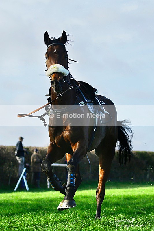 PtP 300122 261 - South Dorset Hunt - Point-to-Point Races 30/01/2022