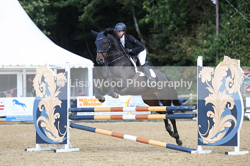 3E7A9224 - Class 9: Senior British Novice/90cm open