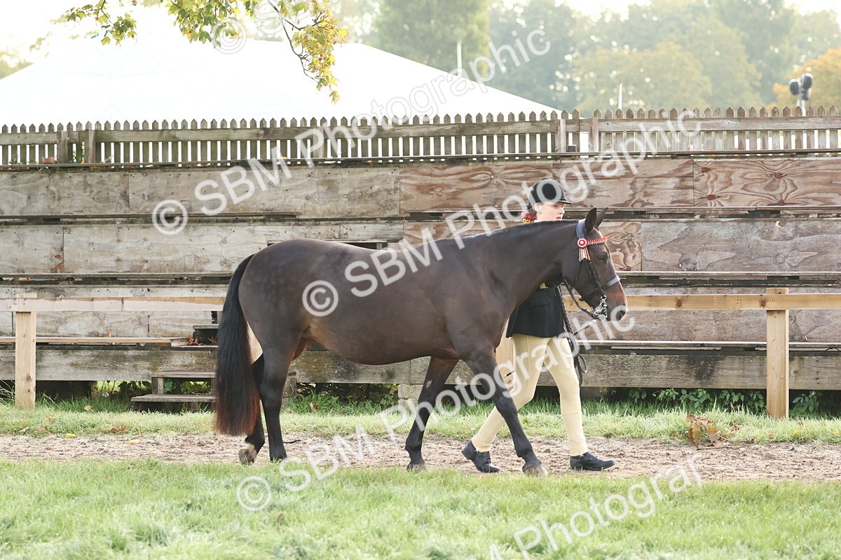 SBM_54486 - S38 - Starters Best Turnout