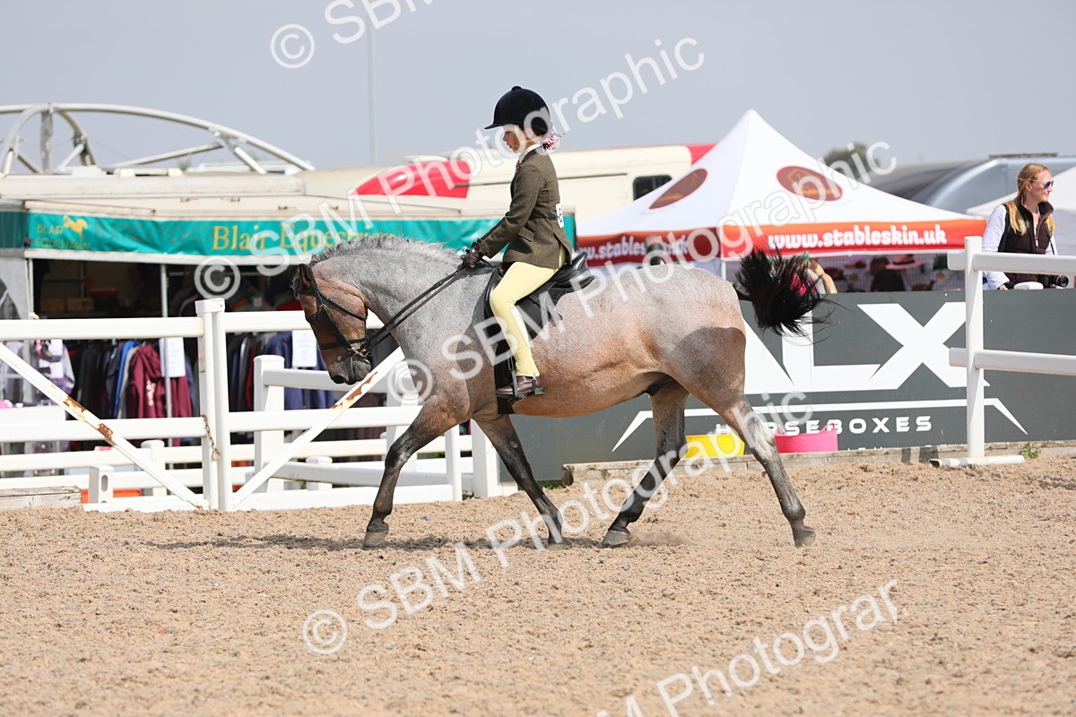 SBM_14722 - Class 310 First Ridden Pony