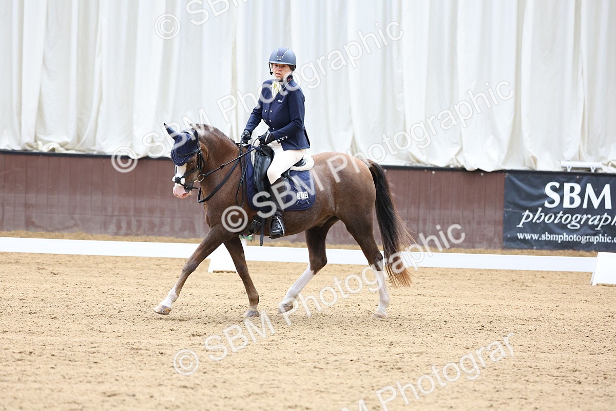 SBM_015738 - Class 15 - Novice FSM - 9.50 - 11.10