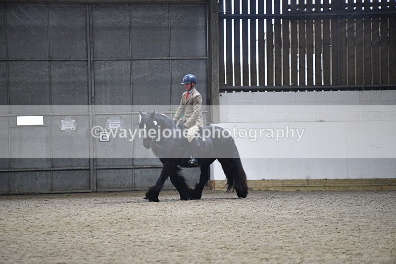 WJ5_8636 - Class 14 Novice Ridden/Rider