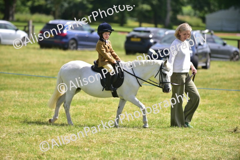 20260614-1108 - Class 11a - Lead Rein Pony (Unplaited)