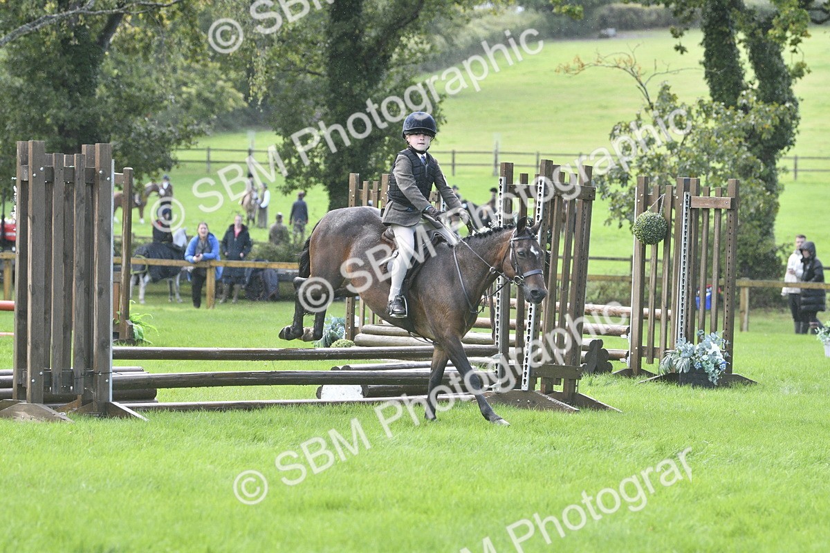 SBM_37177 - S31 - Novice & Newcomer Working Hunter Pony