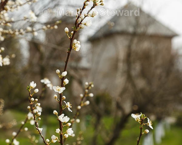 Sargov Monastery #1 - Eastern Europe