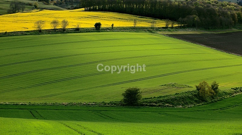 Creich - Landscapes