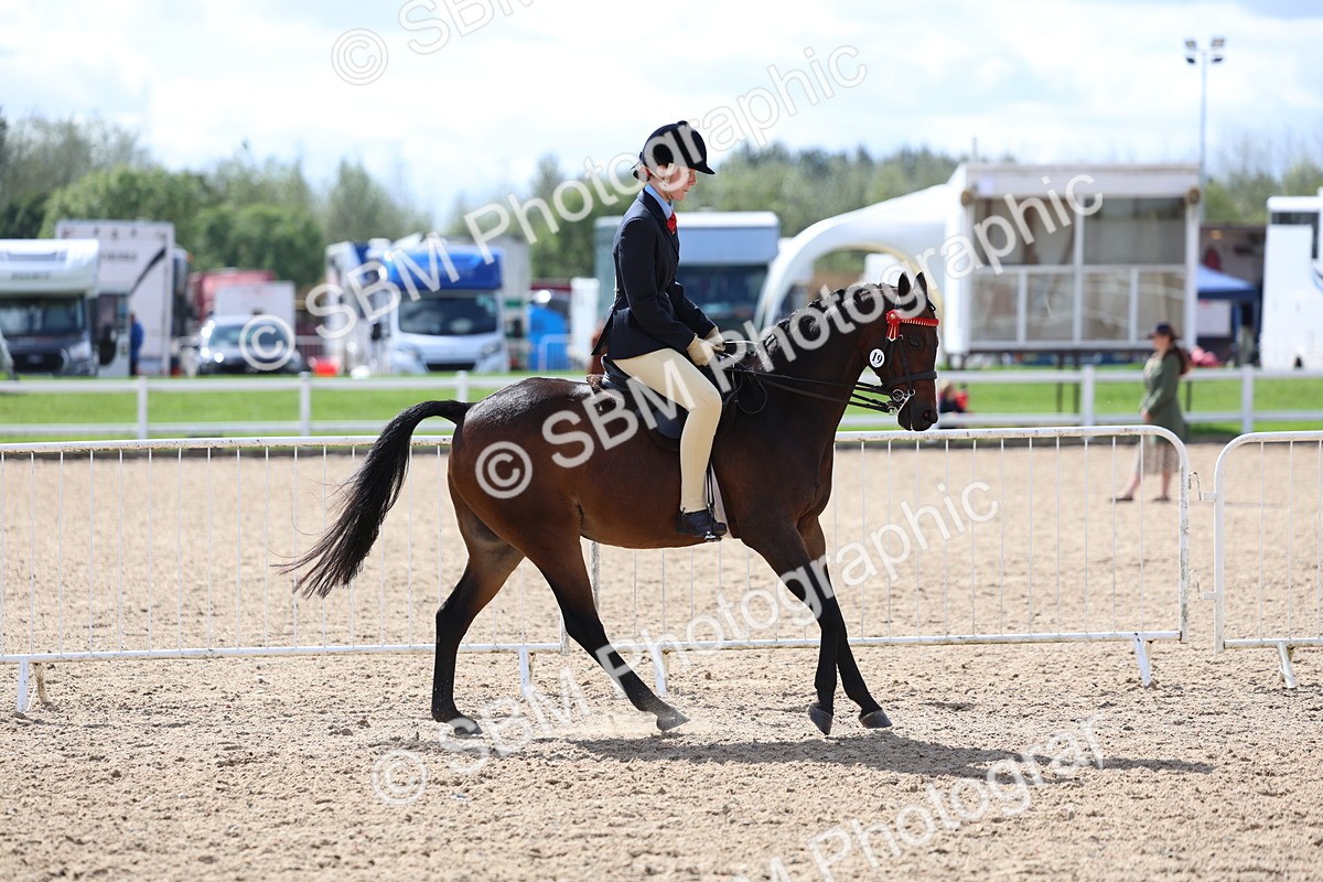 SBM_13269 - Class 311 - Ridden Show Pony Show Hunter Pony