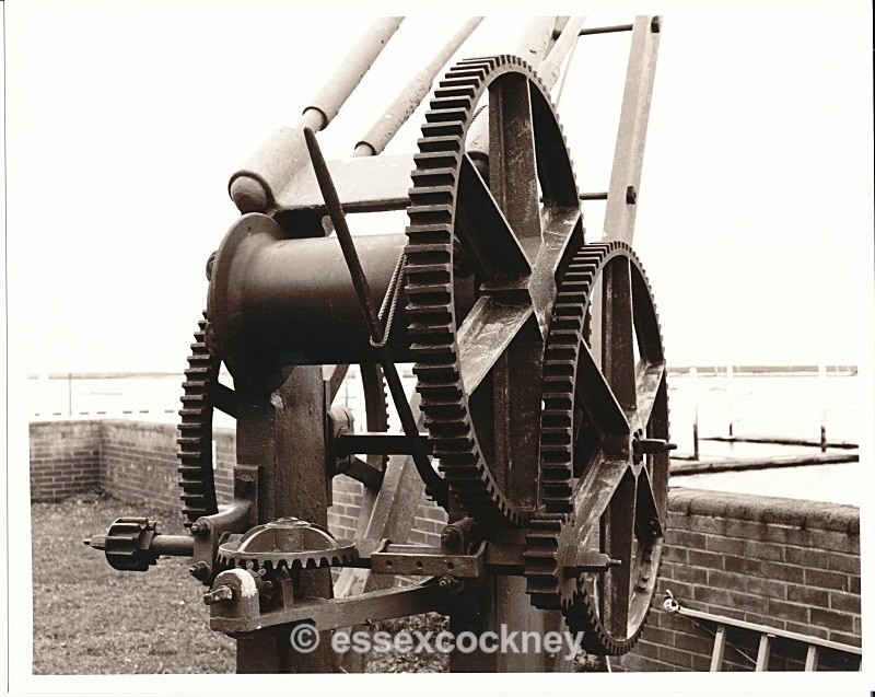  - Essex