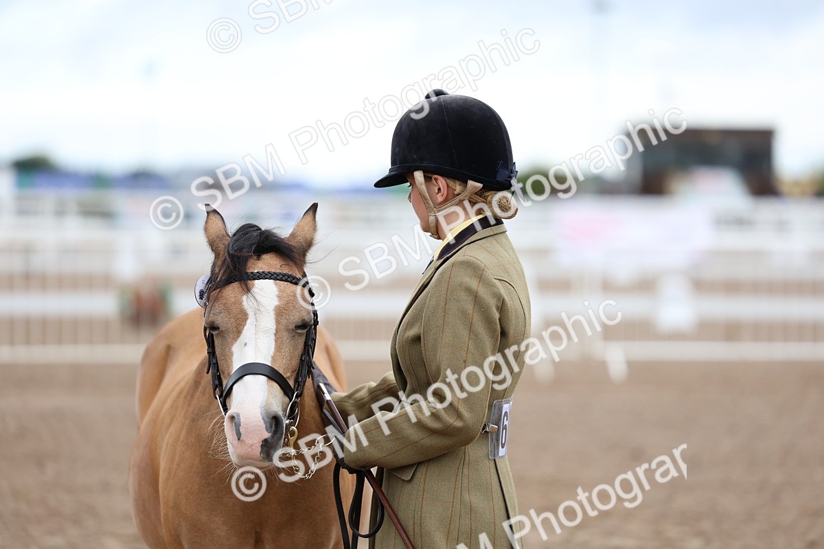 SBM_00261 - Class 13 - Young Handler