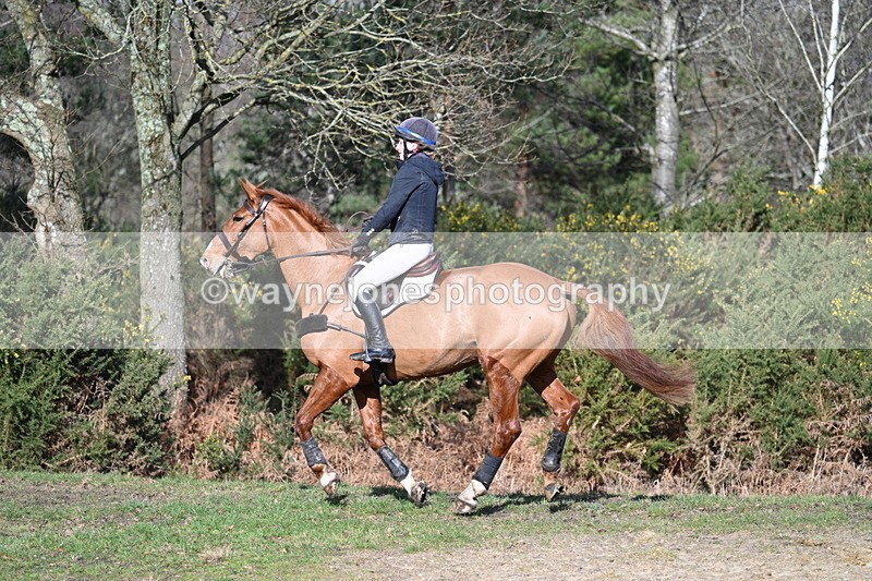 WJ7_8618 - Time 11:41 to 12:16