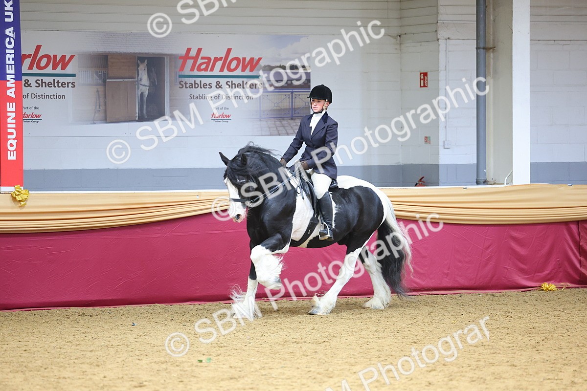 SBM_24430 - Class 906 - Supreme Final - Ridden Pre Vet
