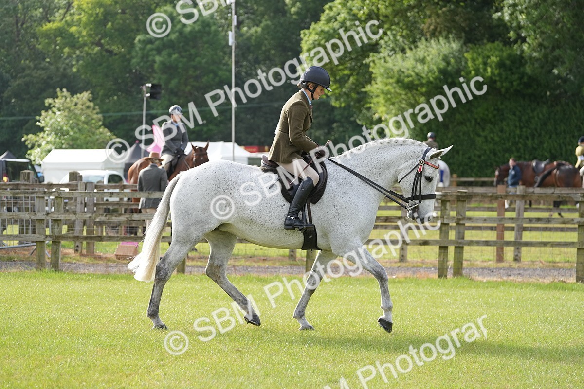 SBM_10571 - Class 97-98 - LIHS BSHA Rising Star Working Show Horse Hunter
