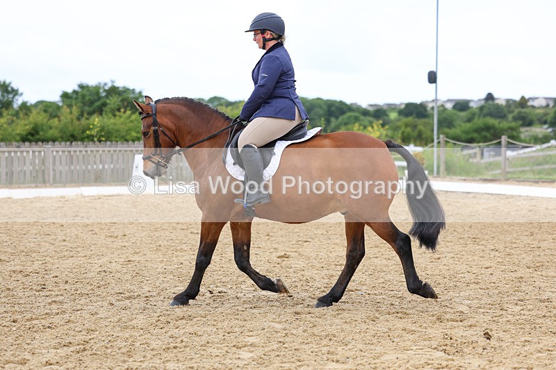 3E7A9554 - Class 2: Intro 1 2024 Section B